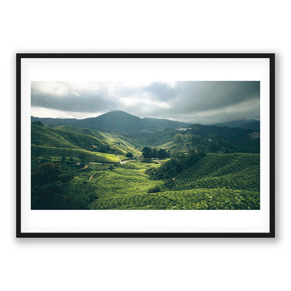 Cameron Highlands